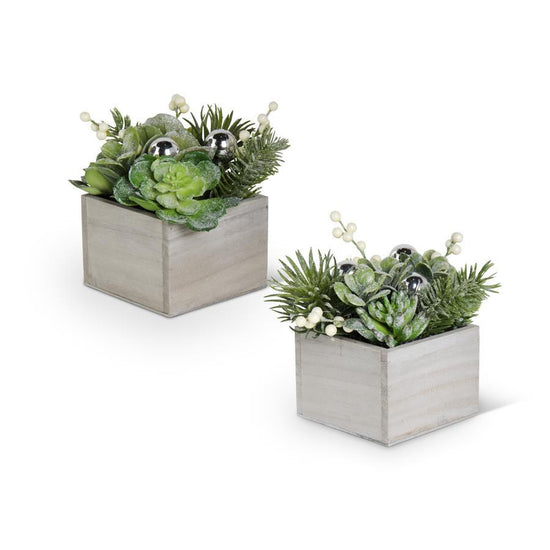K & K Interiors Glittered Succulents in Wood Boxes (2 Styles)