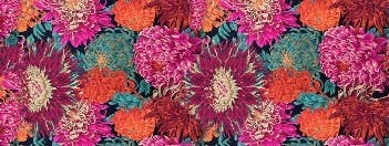 Namaskar Australia Elegant Floral Cotton Voile Designer Scarf