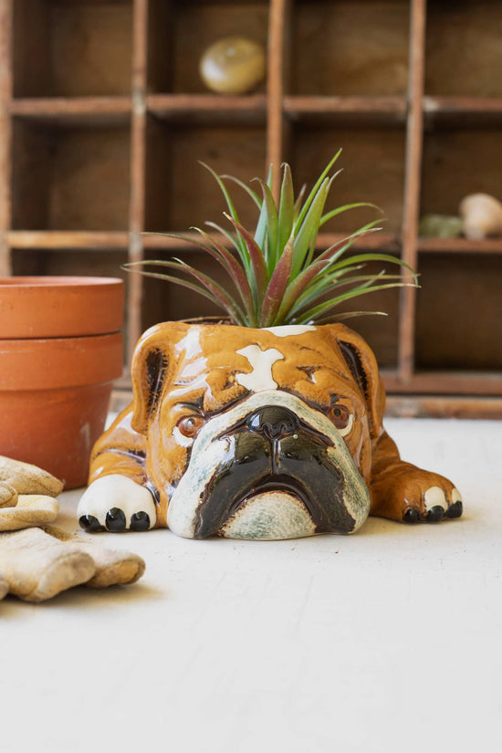 Kalalou CERAMIC BULLDOG PLANTER