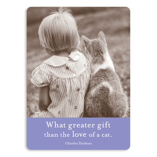 Shannon Martin Love Of A Cat Magnet