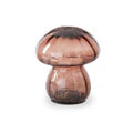 K and K Interiors LED Mushrooms w/Timer